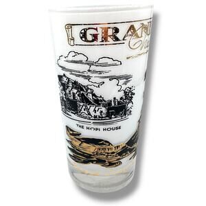 Vintage Grand Canyon Souvenir Glass Frosted Tumbler  Hazel Atlas MCM Cocktail